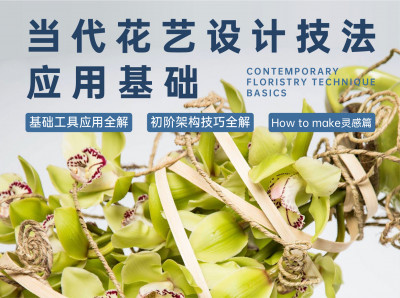 当代架构花艺设计基础专栏