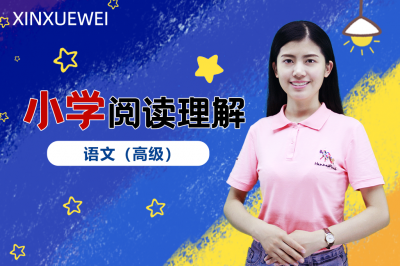 小学阅读理解-语文（高级）