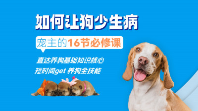 如何让狗少生病，宠主的16节必修课（音频+图文专栏）