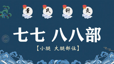 董氏针灸——七七、八八部（小腿、大腿部位）