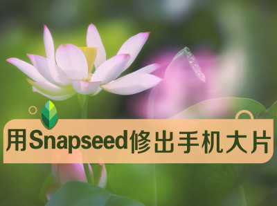 用Snapseed修出赞爆朋友圈的手机摄影大片