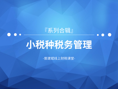 小税种税务管理合辑