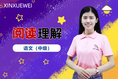 小学阅读理解-语文（中级）