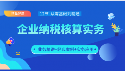 企业纳税核算实务