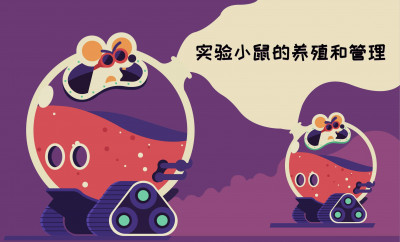 实验小鼠的养殖和管理