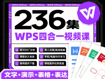 【四合一】WPS从小白到高手视频课