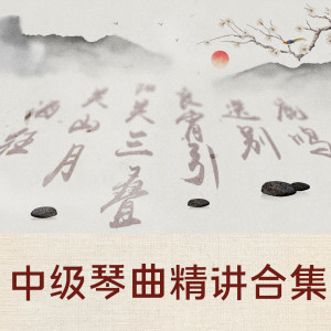 中级古琴曲目精讲合集