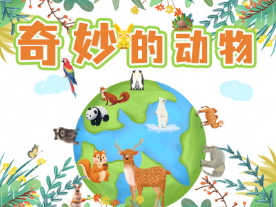 奇妙的动物（40集动物故事+多个知识彩蛋）