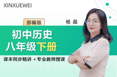 初中历史八年级下册（部编版）