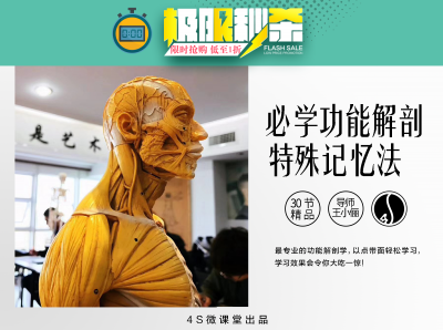 【4S康复系列】2020必学解剖系列｜4S功能解剖以面带点轻松学