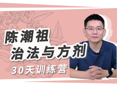 陈潮祖《治法与方剂》30天训练营