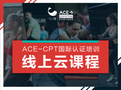 心淳ACE-CPT全阶段云课程