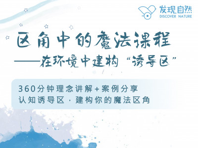 区角中的魔法课程——在环境中建构“诱导区”系列课程
