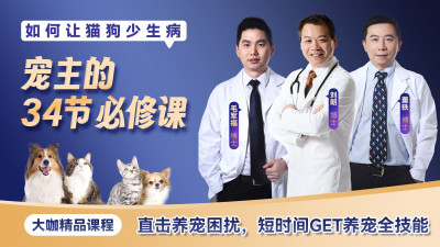 如何让猫狗少生病，宠主的34节必修课（音频+图文专栏）