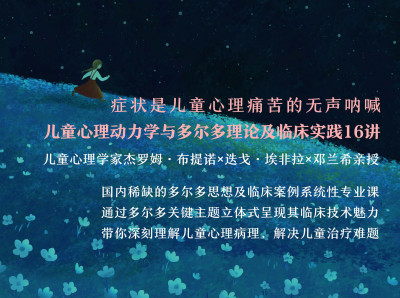 中法儿童心理学家：儿童心理动力学与多尔多理论及临床实践16讲